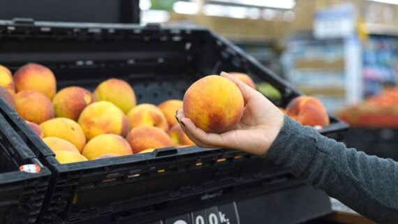 A person holds a ripe peach in their hand while selecting from a display of peaches at a grocery store.