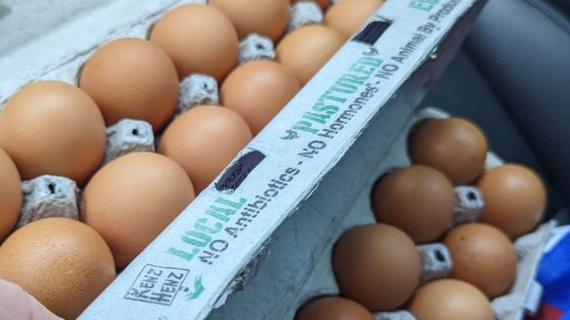 A hand holds a carton of brown eggs labeled “local,” “no antibiotics,” “no hormones,” next to another open carton of similar eggs on a car seat.
