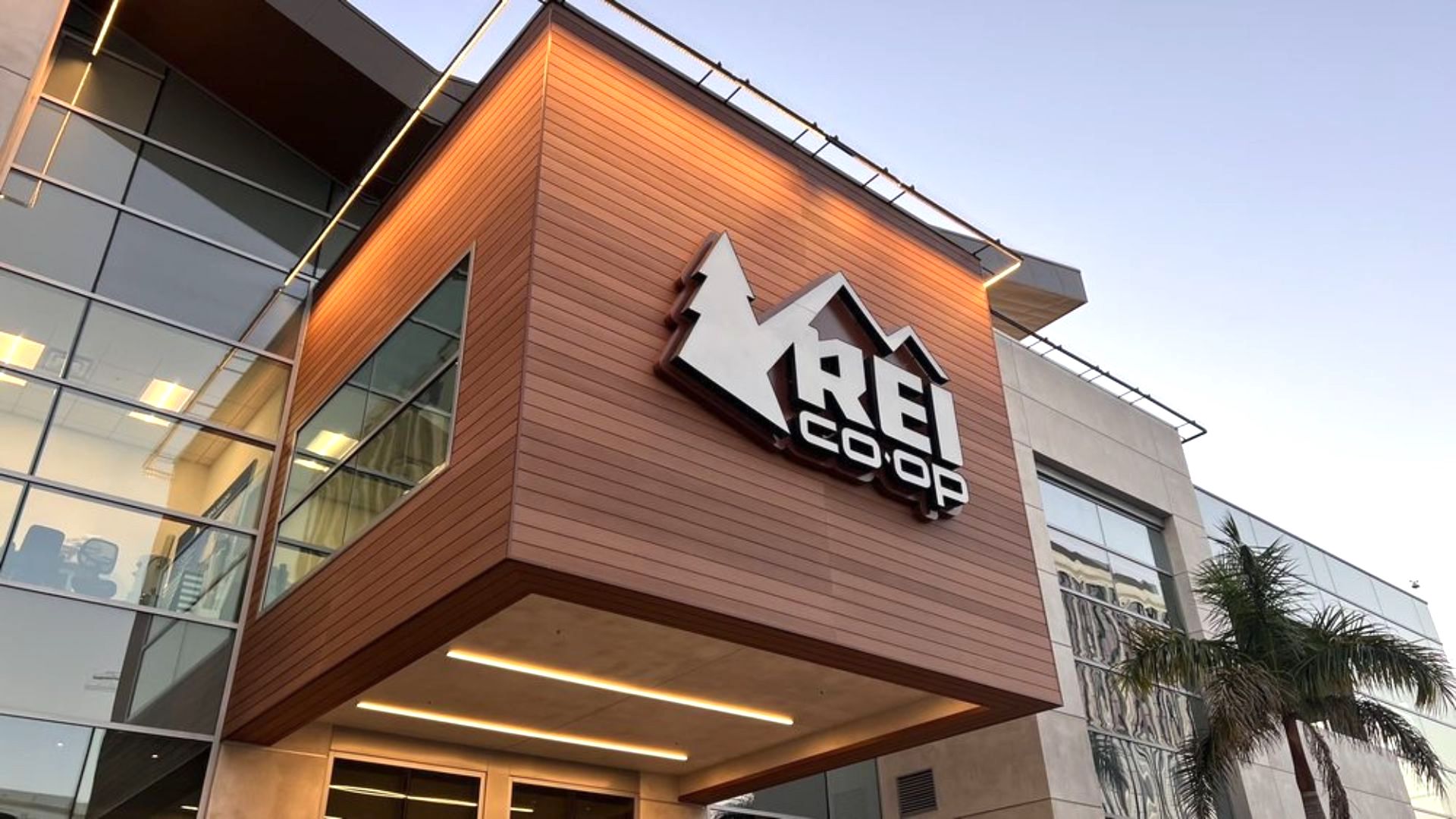A modern building with large windows and a wooden accent displays a prominent REI Co-op sign featuring mountain imagery. Palm trees are visible nearby under a clear sky.