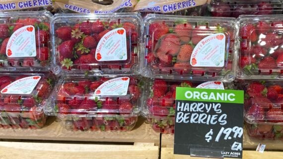 Plastic containers filled with organic strawberries labeled "Harry's Berries" are stacked on a wooden display. A green and black sign reads "ORGANIC HARRY'S BERRIES $19.99.