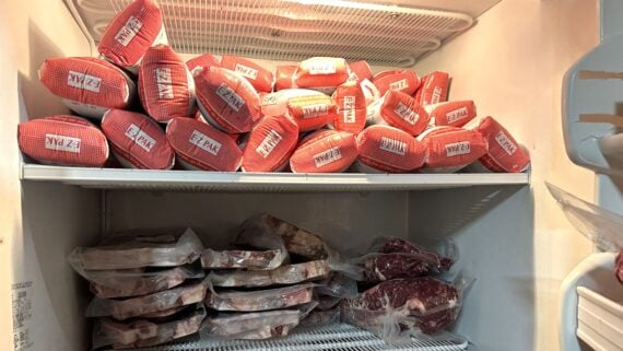 A freezer filled with neatly stacked packages of red-wrapped meat labeled "EZ PAK" on the top shelf, and vacuum-sealed cuts of meat and ground beef on the lower shelves.