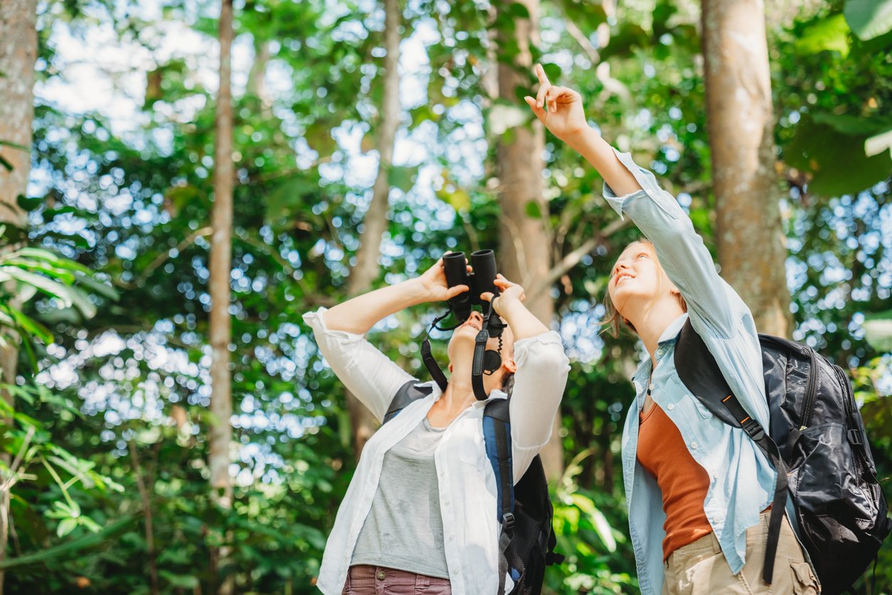 Two people with backpacks stand in a lush forest; one looks through binoculars while the other points upward, both observing something in the trees. Sunlight filters through the green foliage around them.