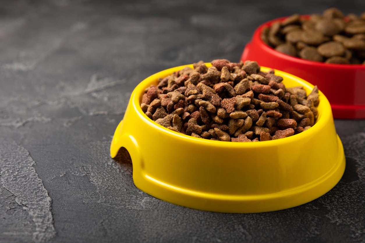 A yellow bowl filled with dry pet food sits in the foreground, while a red bowl with more kibble is partially visible in the background on a dark textured surface.