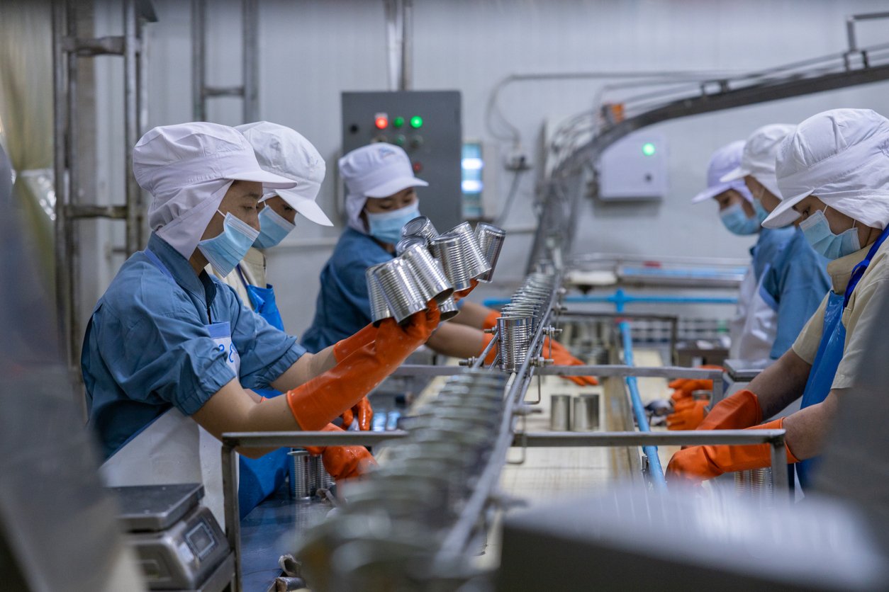 Workers in blue uniforms, white hats, and face masks inspect and handle metal cans on a conveyor belt in a food processing factory. They wear orange gloves and work in a clean, industrial environment.