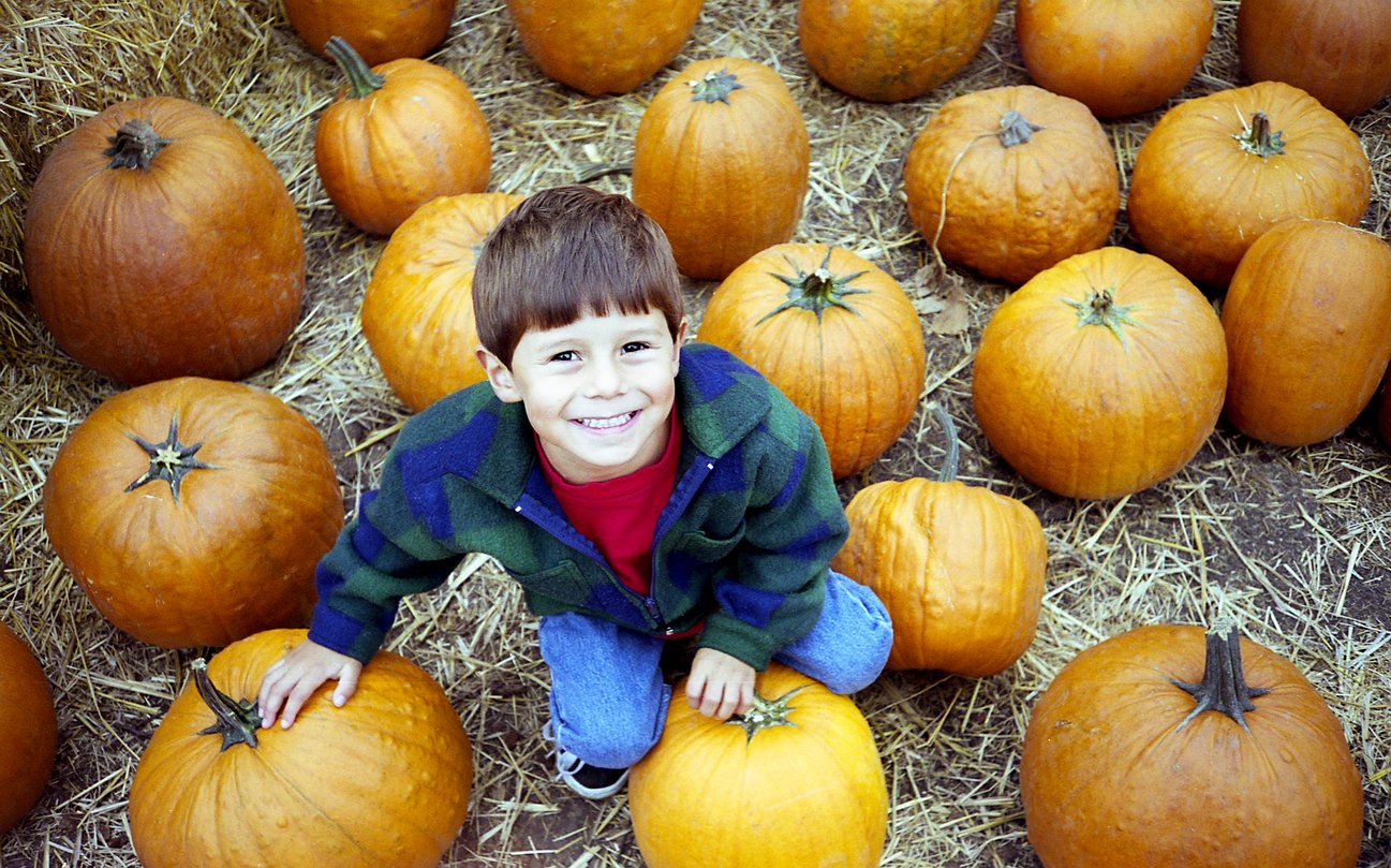 A young boy with brown hair, wearing a green plaid jacket and jeans, sits smiling among large orange pumpkins on straw-covered ground at a pumpkin patch—a reminder of the harvest traditions behind Thanksgiving Dinner Cost History.