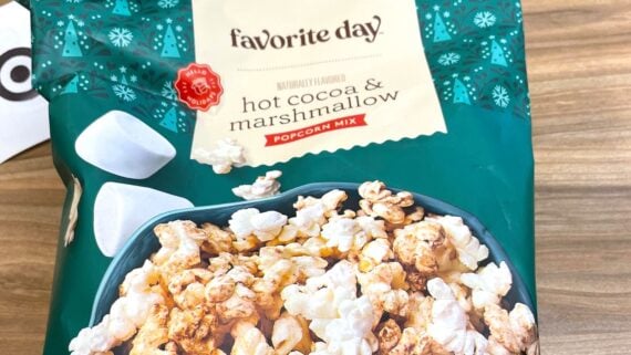 A bag of Favorite Day hot cocoa & marshmallow popcorn mix, featuring an image of popcorn and marshmallows on the packaging with teal and cream decorative accents.
