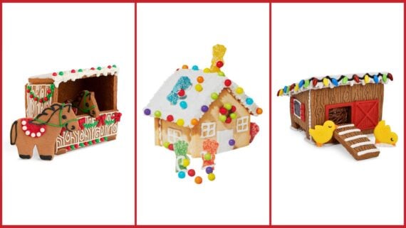 Three gingerbread structures: a horse-drawn carriage, a candy-decorated house with gumdrops and icing, and a barn with Christmas lights and two yellow ducks, all against a white background with red borders.