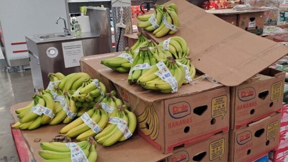 Bunches of green bananas with labels are stacked on cardboard boxes labeled "Dole Bananas" in a grocery store, with a metal sink and various products in the background.