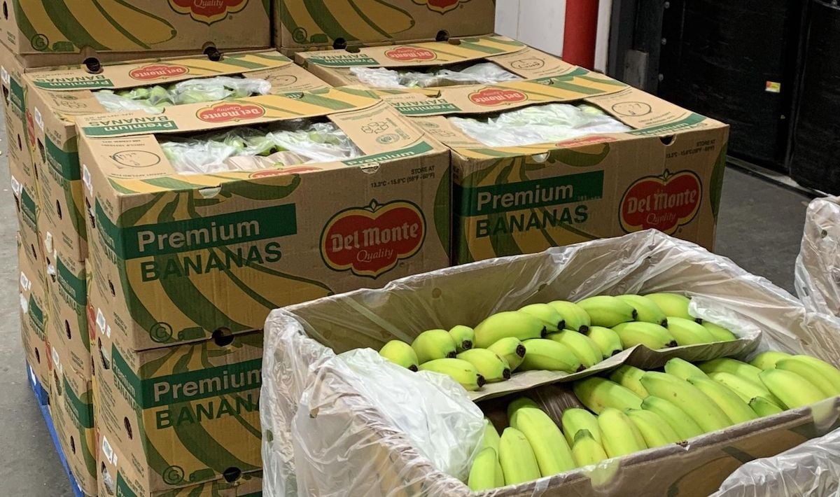 Several large cardboard boxes labeled "Del Monte Premium Bananas" are stacked, with open boxes in front showing bunches of green bananas inside clear plastic liners.