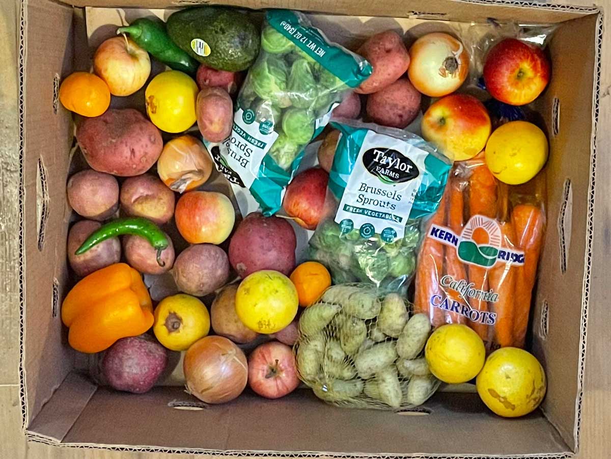 A cardboard box filled with apples, lemons, oranges, avocados, sweet potatoes, red potatoes, onions, yellow bell pepper, jalapeño, chayote, a bag of carrots, two bags of Brussels sprouts, and garlic.