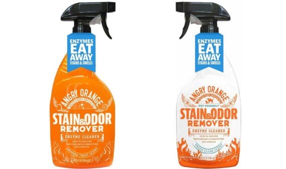 Two bottles of Angry Orange pet stain remover enzyme cleaner with spray tops&mdash;one orange, one clear. Both feature blue tags that say "Enzymes Eat Away Stains & Smells." Perfect for tackling stubborn pet messes.