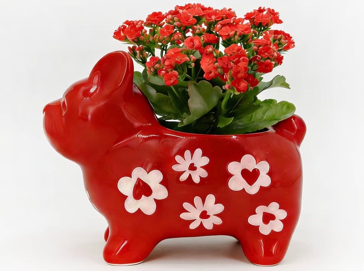 A red ceramic planter shaped like a dog, decorated with white flower and heart designs, holds a blossoming red kalanchoe plant with green leaves. The background is plain white.