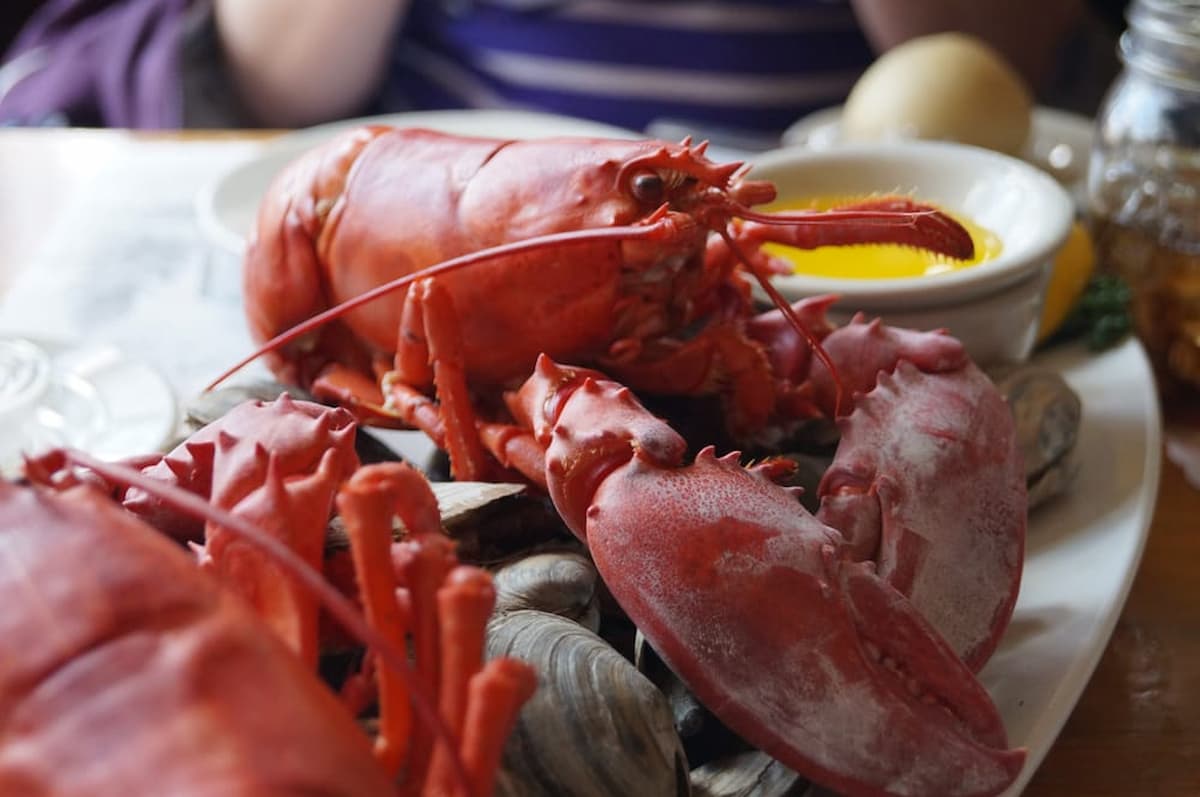 A cooked whole lobster is served on a plate with clams, a small bowl of melted butter, and a potato in the background. A person in a striped shirt is partially visible behind the food.