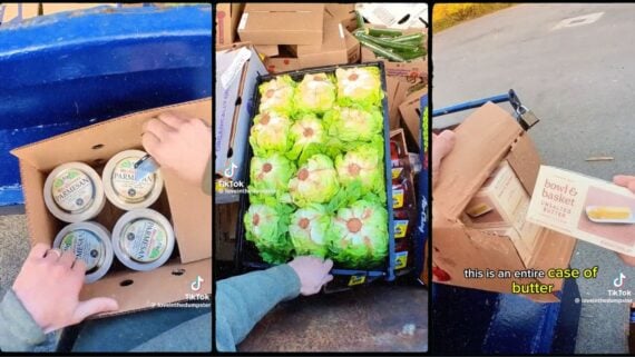 Three images show food items found while dumpster diving: containers of parmesan cheese, a crate of lettuce heads, and a box labeled "bowl & basket" butter, all discarded in or near dumpsters as hands reach toward them.