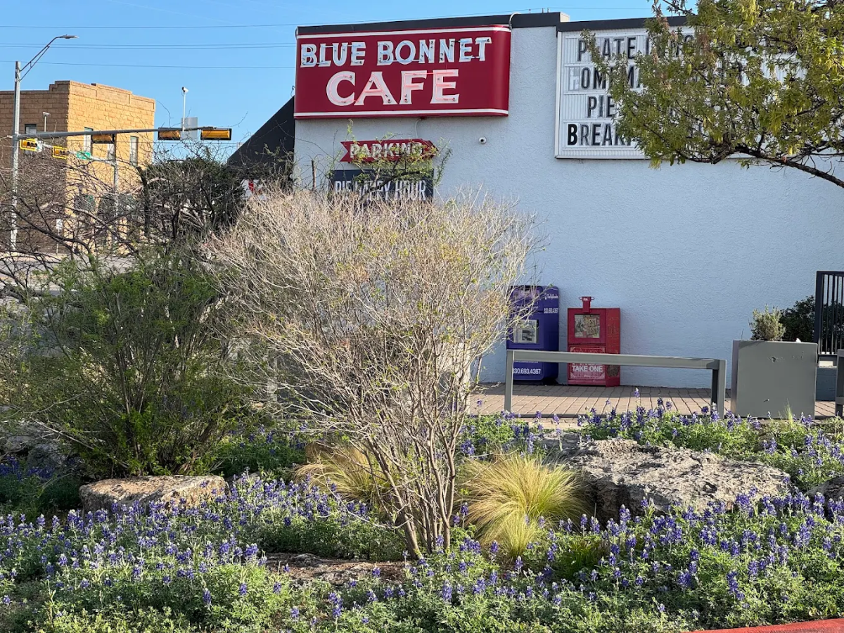 Exterior of Blue Bonnet Cafe with a red sign, a garden of bluebonnet flowers and shrubs in front, and newspaper stands next to the building on a sunny day.