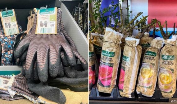 Gardening gloves in various patterns displayed on the left, and wrapped potted rose bushes with labels showing pink and yellow flowers on the right&mdash;great garden deals from Aldi lining the store shelves.