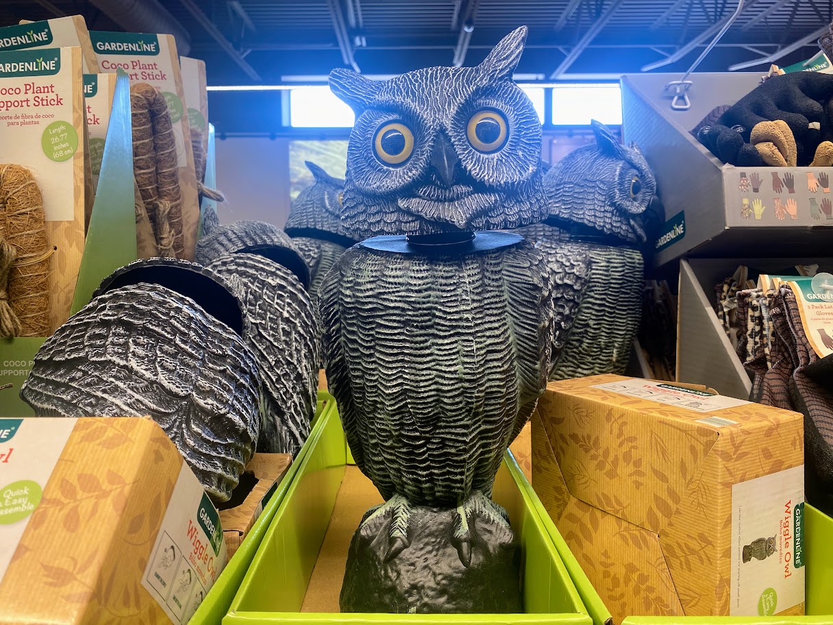 Several realistic plastic owl decoys with wide yellow eyes are displayed on store shelves, surrounded by green boxes and gardening supplies under bright indoor lighting.