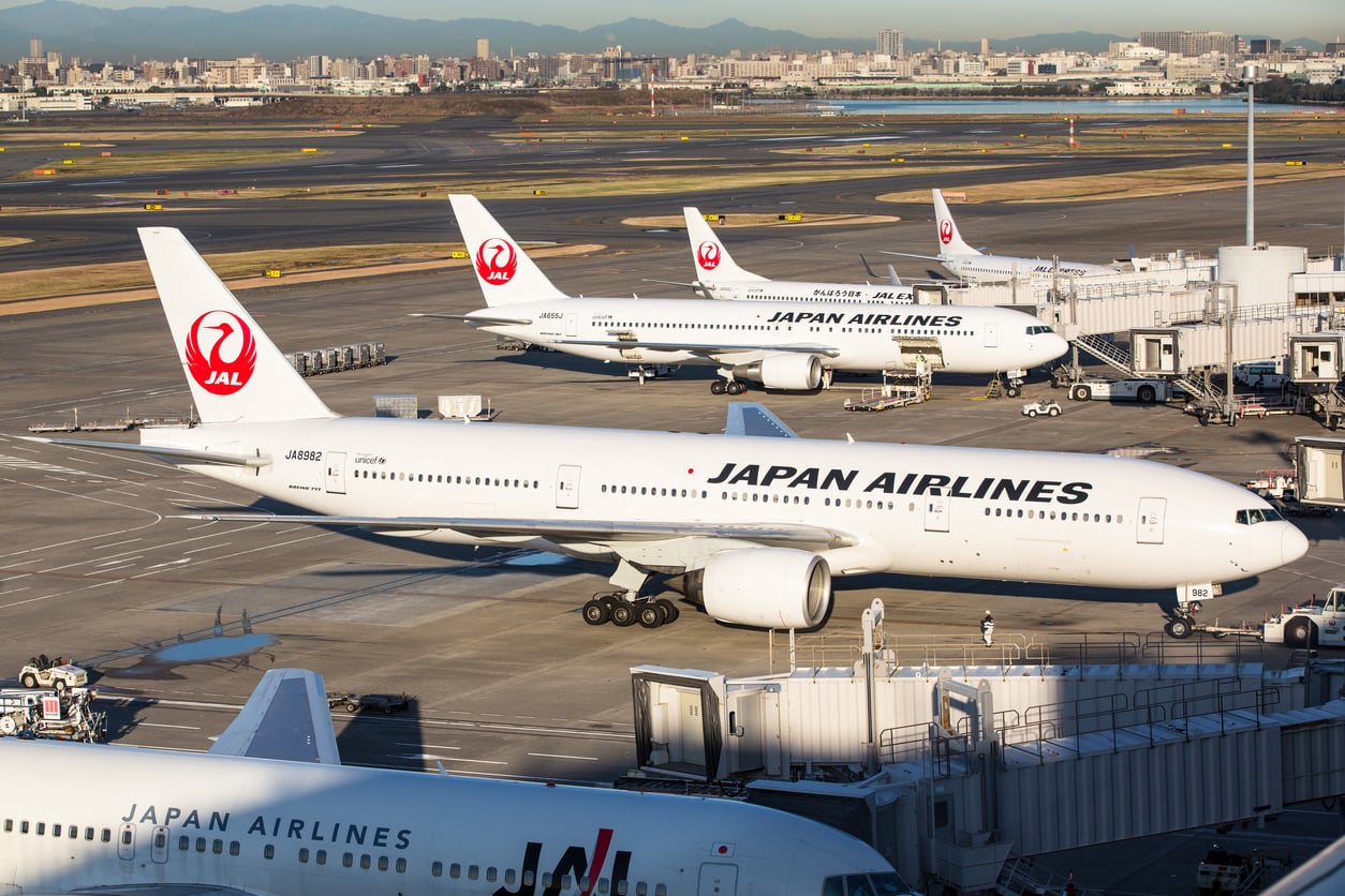 Several Japan Airlines aircraft lined up at airport gates during daylight, with city buildings and mountains visible in the background. The planes are white with the red JAL crane logo on the tail.