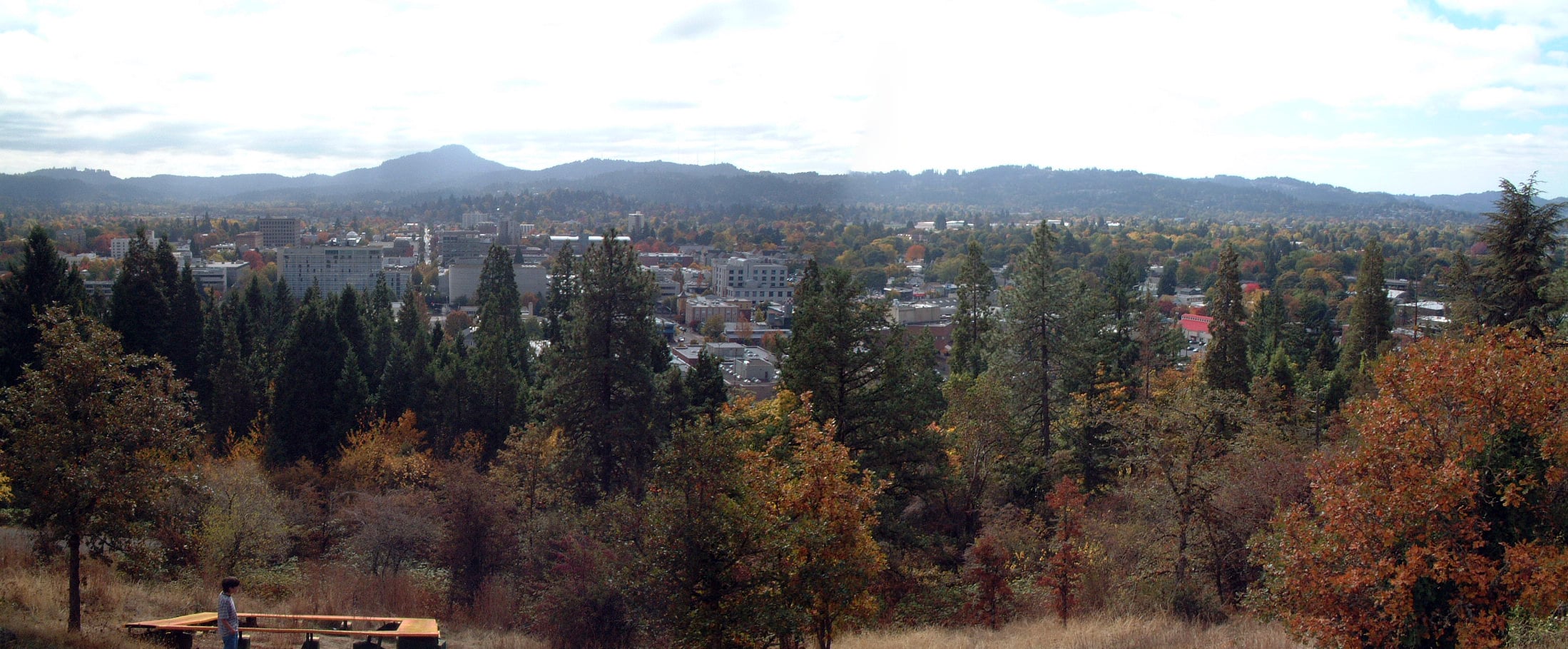 Panoramic view of a city surrounded by dense trees and green hills under a partly cloudy sky, with a person standing near a wooden structure in the foreground.