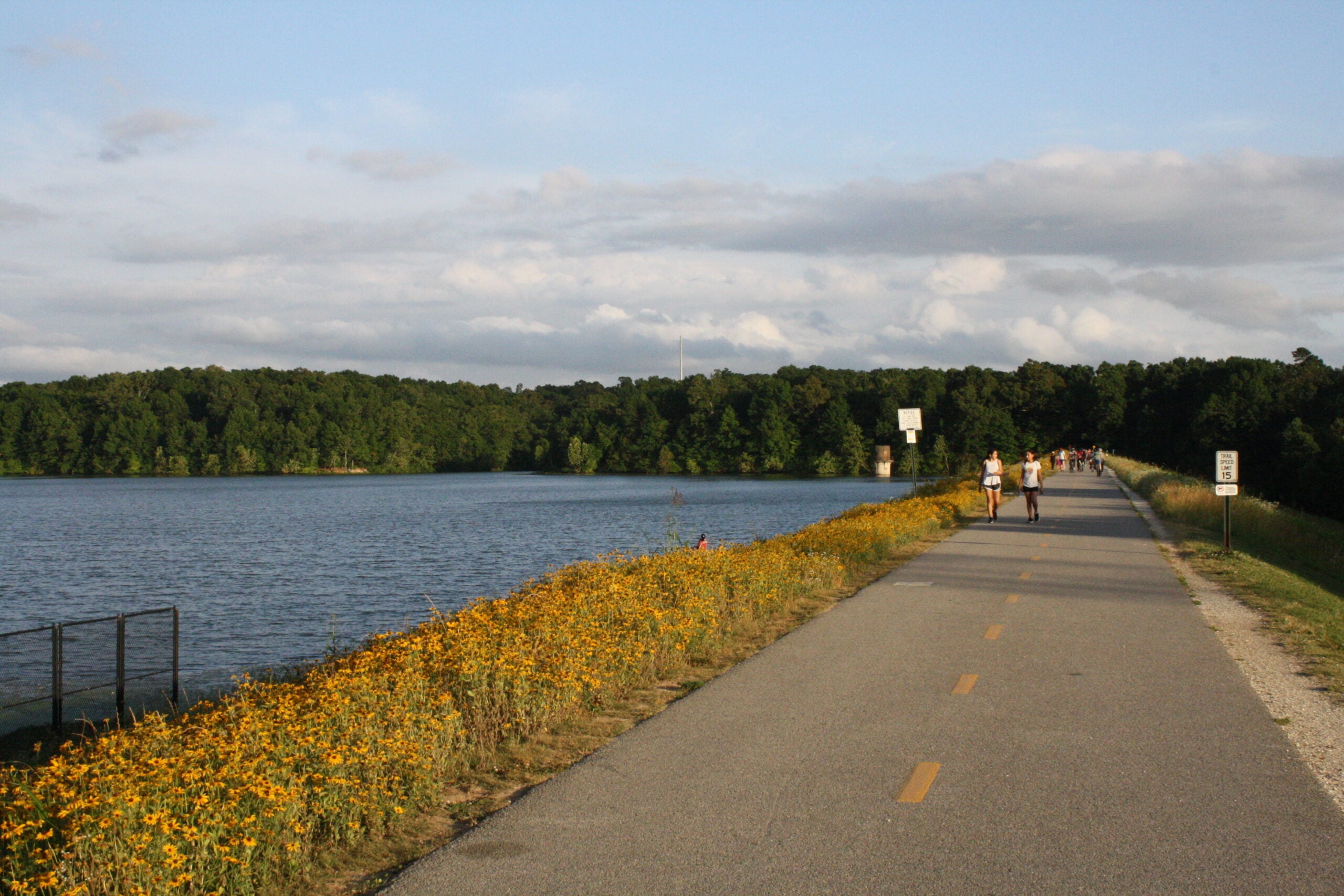 A paved trail lined with yellow wildflowers runs alongside a lake, with people walking and biking under a partly cloudy sky and trees in the background.