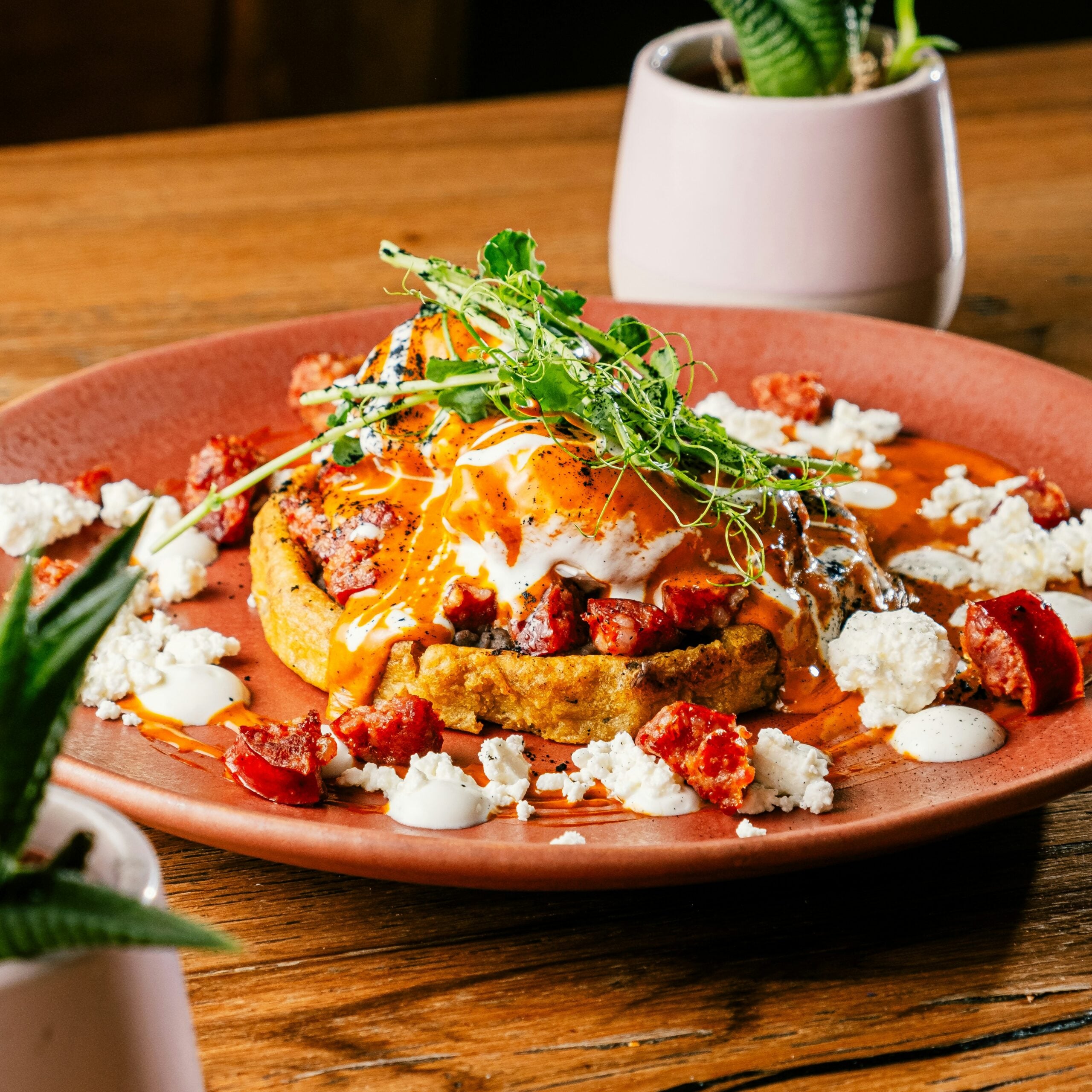 A colorful dish with a poached egg on a savory base, topped with fresh greens and surrounded by crumbled cheese, sauce, and pieces of tomato on a rustic pink plate. Small potted plants are in the background.