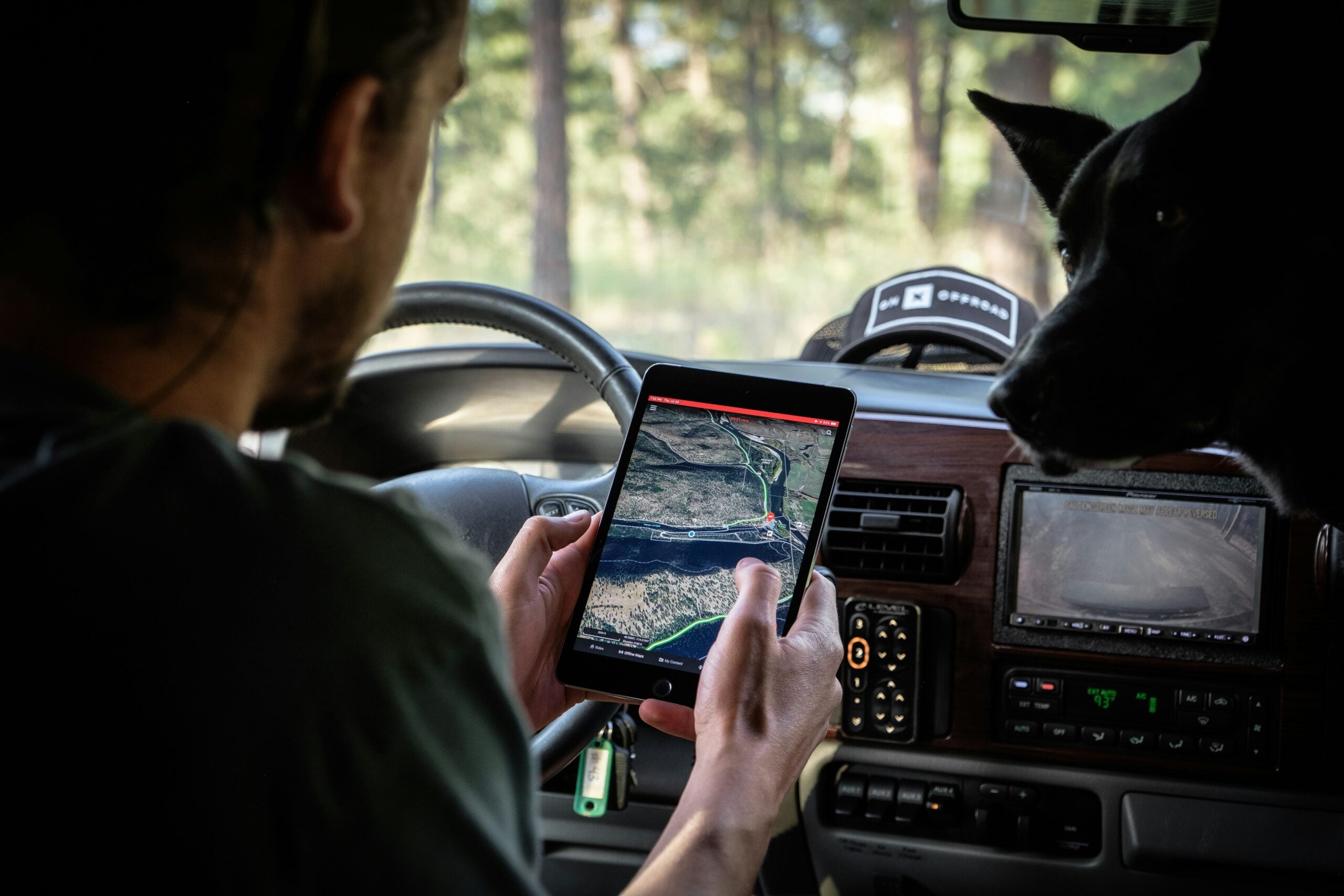 A person sitting in a car uses a tablet displaying a map, while a black dog looks on from the passenger seat. Sunlight filters through trees outside the vehicle.
