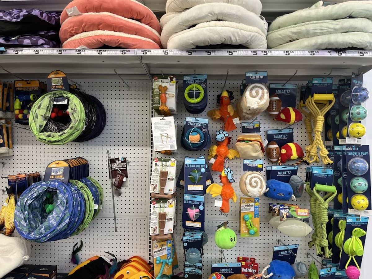 Pet store display with beds on the top shelf and various pet toys, including plush animals, balls, ropes, and tunnels, hanging on pegboard below—like a pet’s first time at Five Below, with bright colors and playful packaging designs.