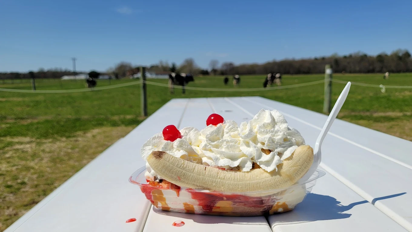 A banana split with whipped cream and cherries sits on a white picnic table outdoors, with a green field and cows grazing in the background under a clear blue sky.