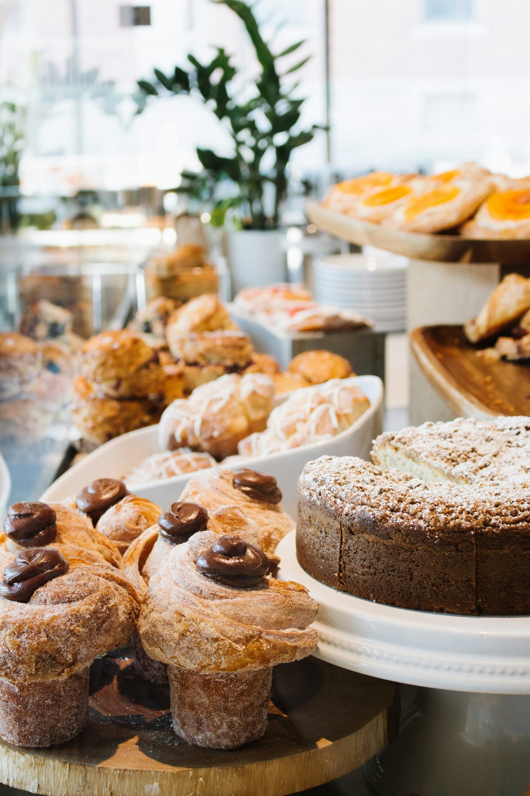 A display of assorted pastries and cakes in a bakery, including chocolate-topped pastries and a round cake dusted with powdered sugar, with more baked goods and plants in the background.