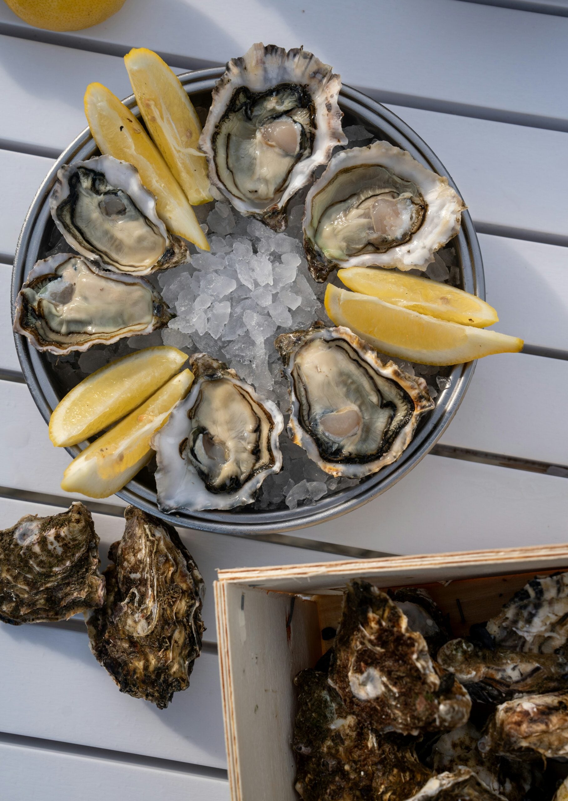 A round plate of fresh oysters on a bed of ice, garnished with lemon wedges, sits on a white slatted table next to a wooden box containing oyster shells.
