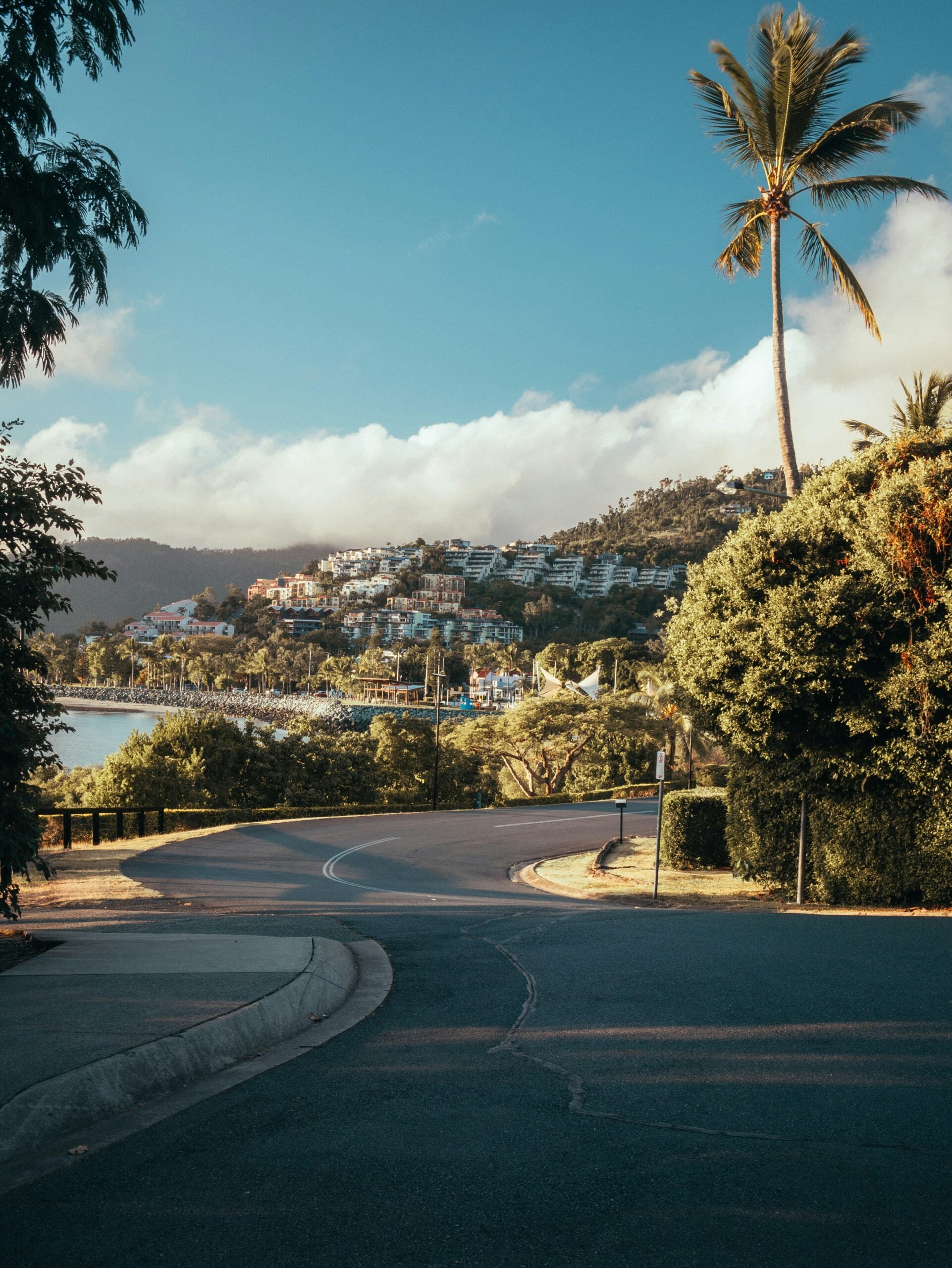 A curved road leads downhill toward a coastal town with hillside houses, surrounded by lush greenery and palm trees under a blue sky with scattered clouds.