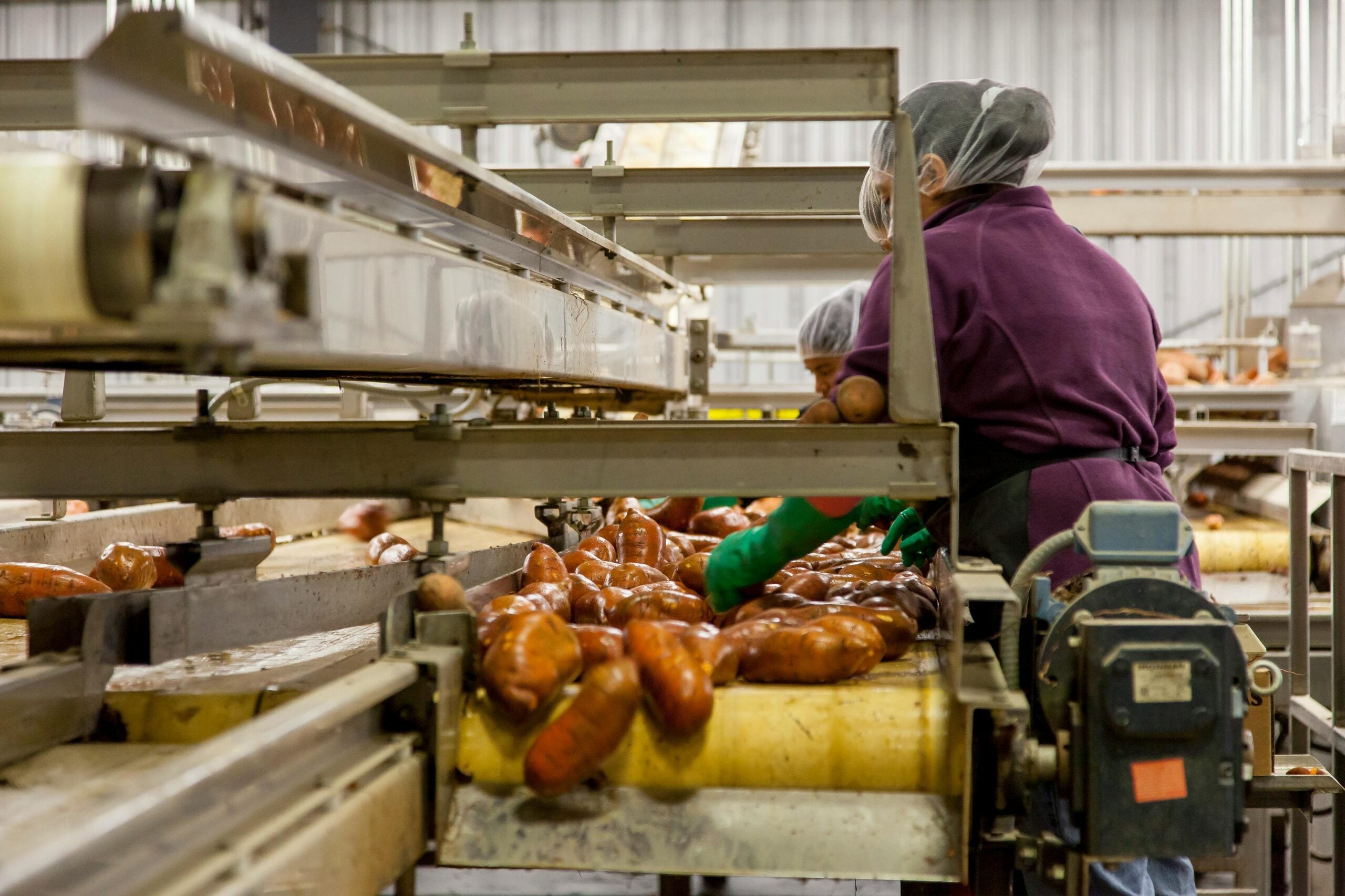 Workers wearing hairnets and gloves sort sausages on a conveyor belt in a food processing facility, with machinery and industrial equipment visible around them.