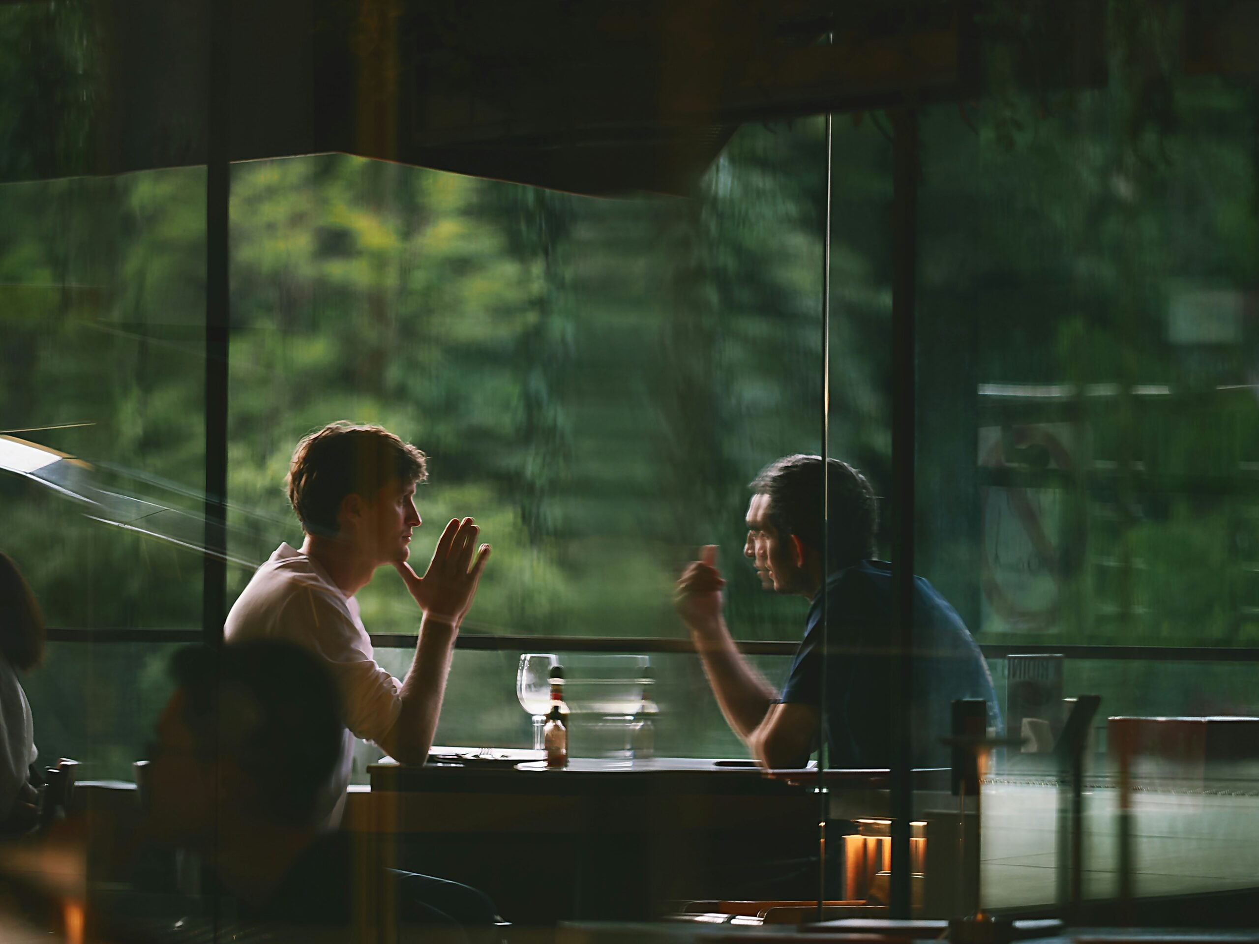 Two people sit at a table by a large window in a dimly lit restaurant, engaged in conversation. One gestures with his hand while the other listens. Drinks and bottles are on the table. Lush greenery is visible outside.