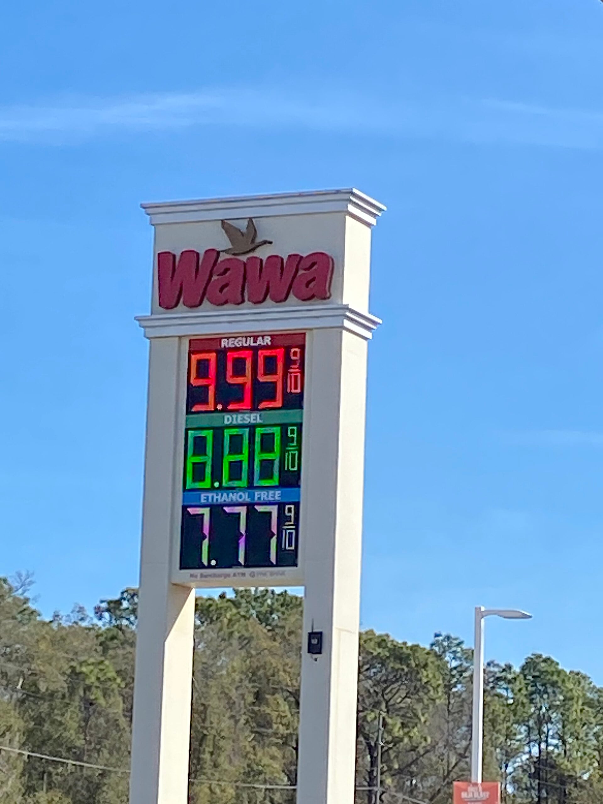 A Wawa gas station sign displays fuel prices: Regular at $9.99 per gallon, Diesel at $8.88 per gallon, and Ethanol Free at $7.77 per gallon. Trees and a blue sky are in the background.