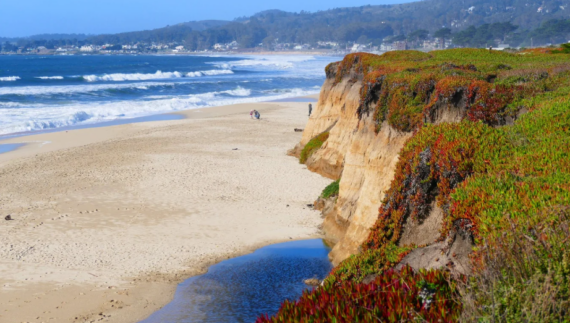 A sandy beach destination with tall, rugged cliffs covered in green and reddish plants, ocean waves crashing nearby, and a few people walking along the shoreline under a clear blue sky.