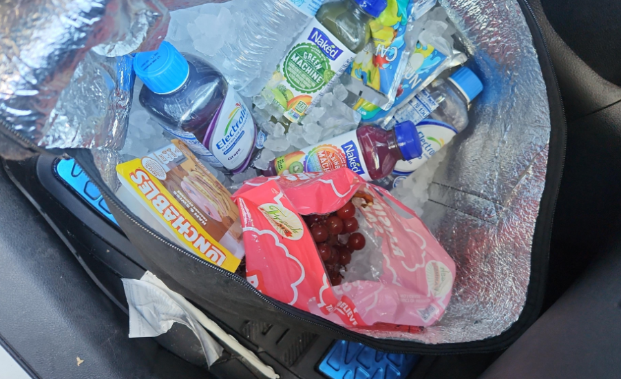 A soft-sided cooler bag—like one middle class moms pack for outings—holds bottles of juice, a pack of Lunchables, and a pink bag of grapes. The cooler rests on a car seat with a blue floor mat partially visible.