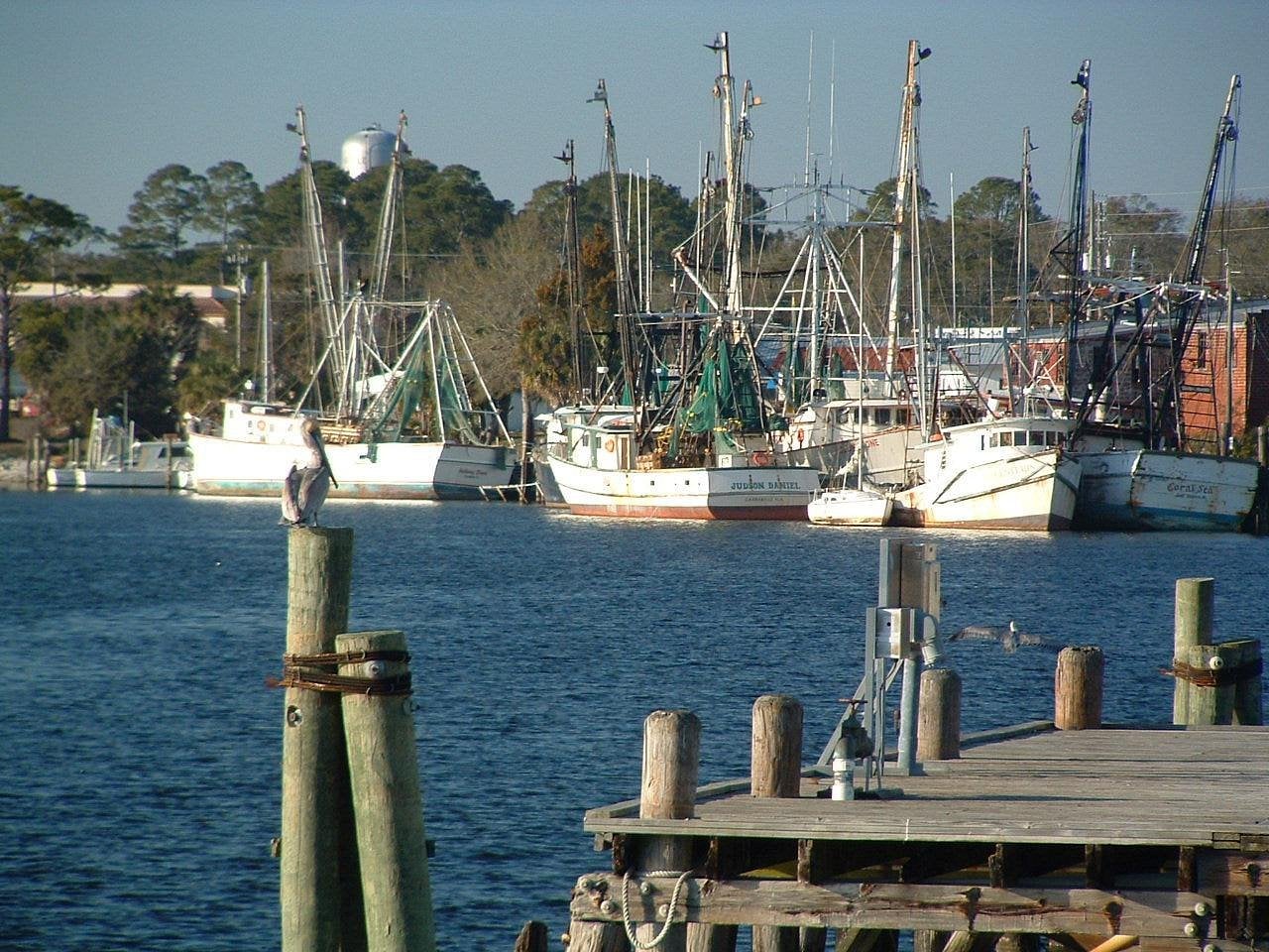 Several fishing boats are docked along a waterfront in one of those unique American towns, with a wooden pier in the foreground. A bird is perched on a post near the water, and trees and buildings can be seen in the background.