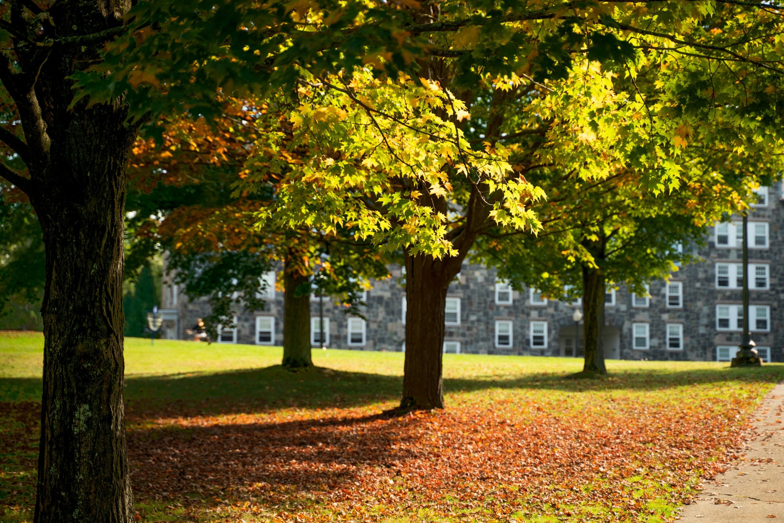 Sunlight filters through green and yellow leaves on trees in a grassy area, casting dappled shadows on the ground covered with fallen leaves. In the background, a stone building stands—perhaps housing resources for Cost of Living Relief.