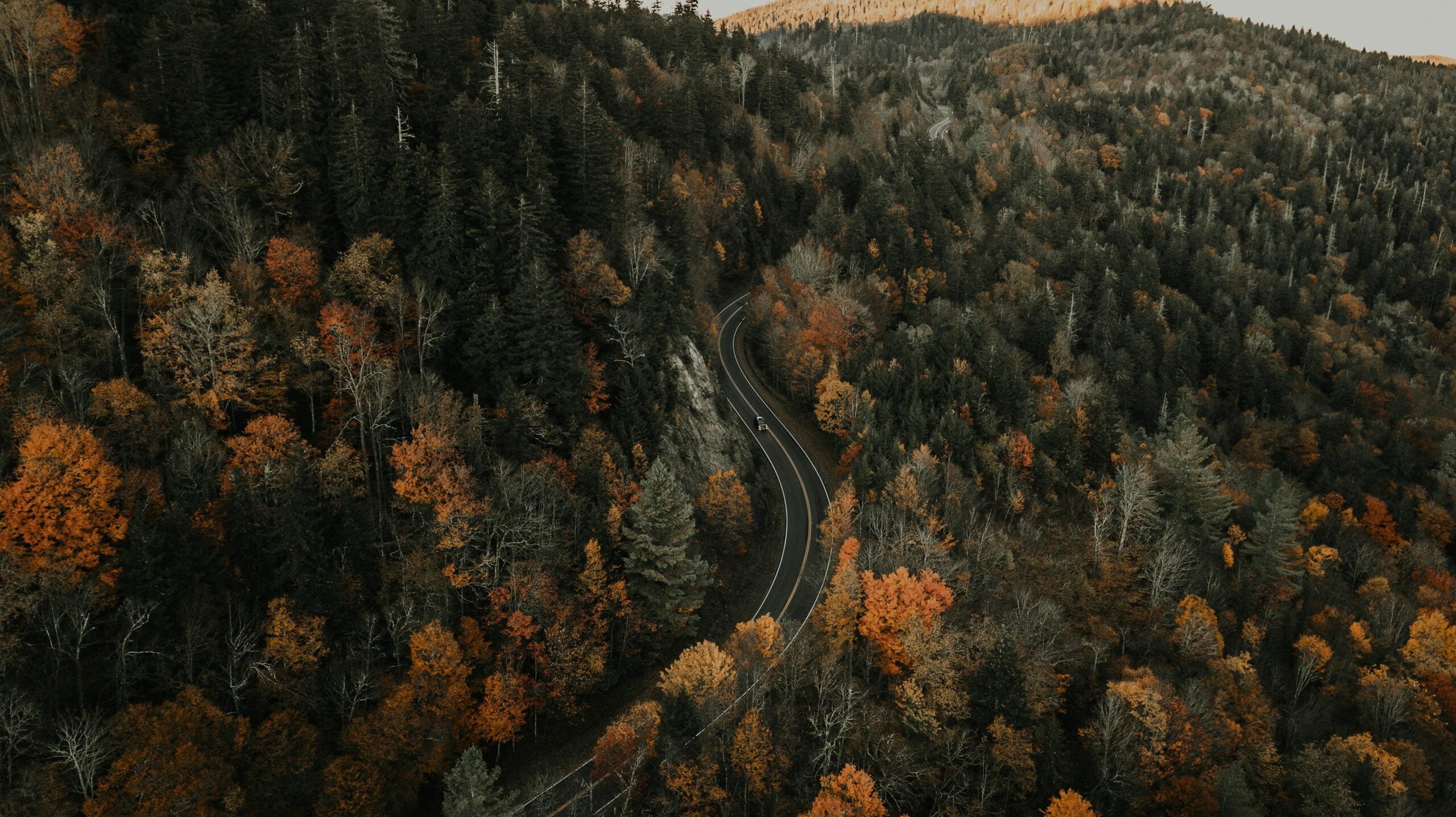 A winding road curves through a dense forest of trees with autumn foliage in shades of orange, yellow, and green, set against a mountainous landscape under soft, muted lighting.