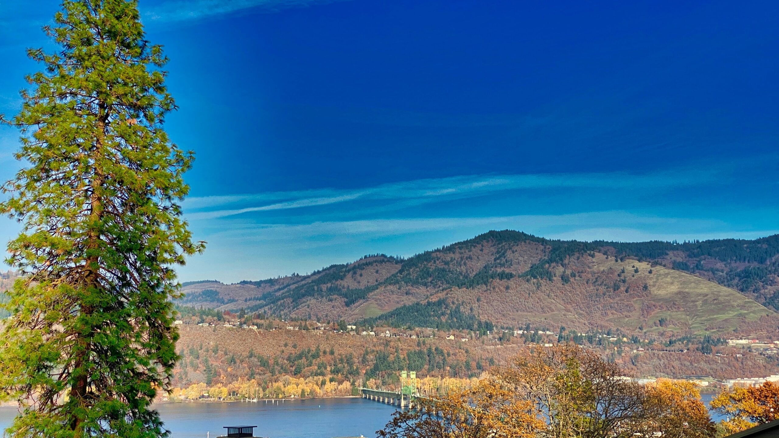 A vibrant landscape with a tall evergreen tree on the left, a river and bridge below, and rolling, forested hills in the background under a deep blue sky. Autumn foliage adds color to the scene.
