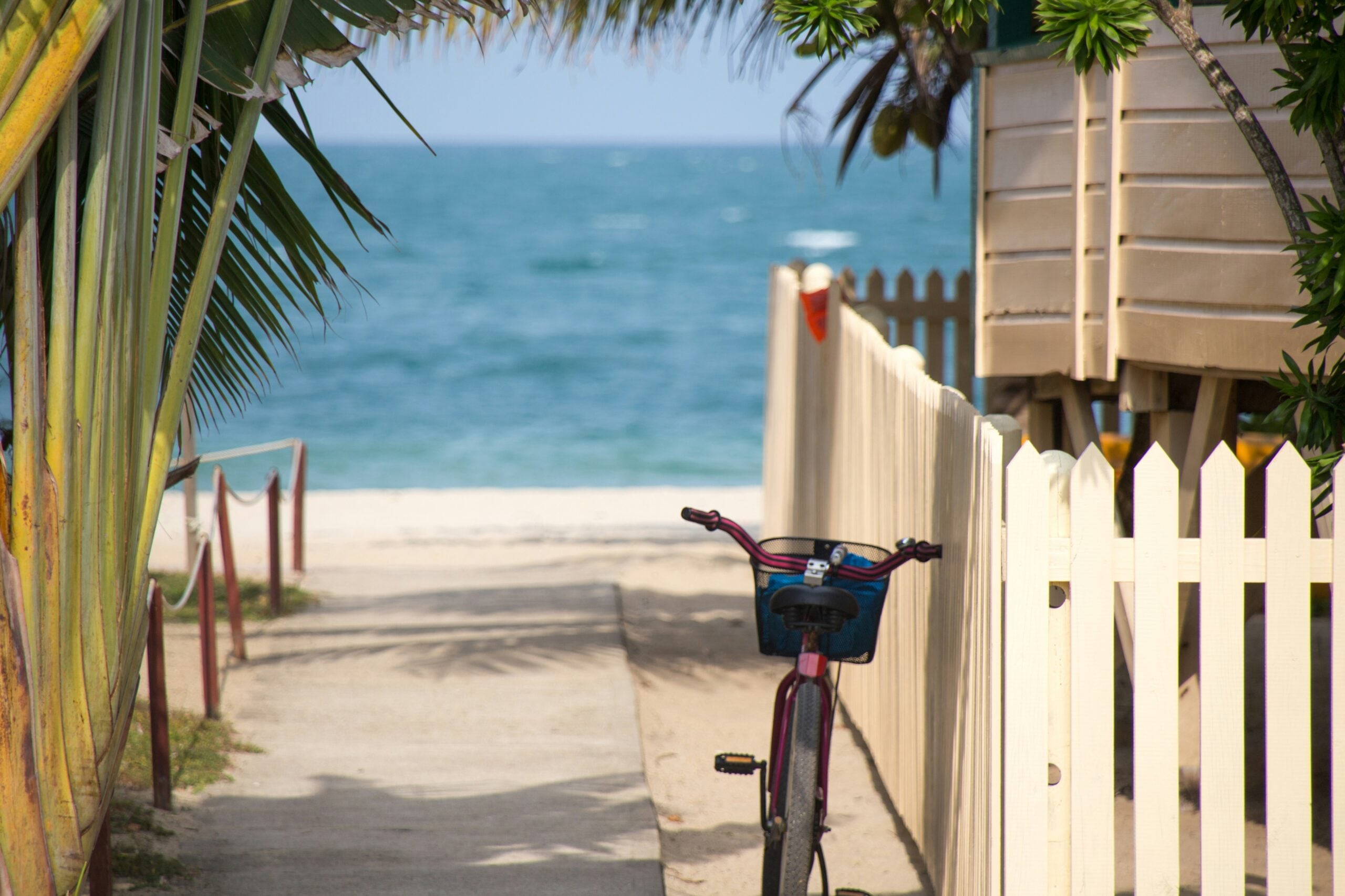 A bicycle parked by a white picket fence on a path leading to a sandy beach with blue ocean waves, palm trees, and a wooden structure partially visible on the right.