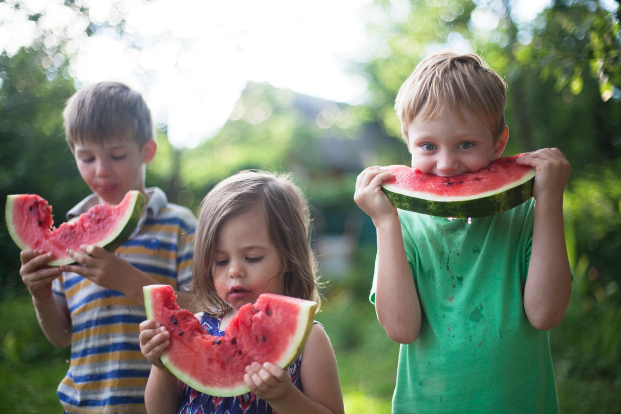 Three young children stand outside, each holding and eating slices of watermelon—a scene familiar to many middle class moms. The boy on the right smiles at the camera, while the others focus on their fruit amid a sunny, green backdrop.