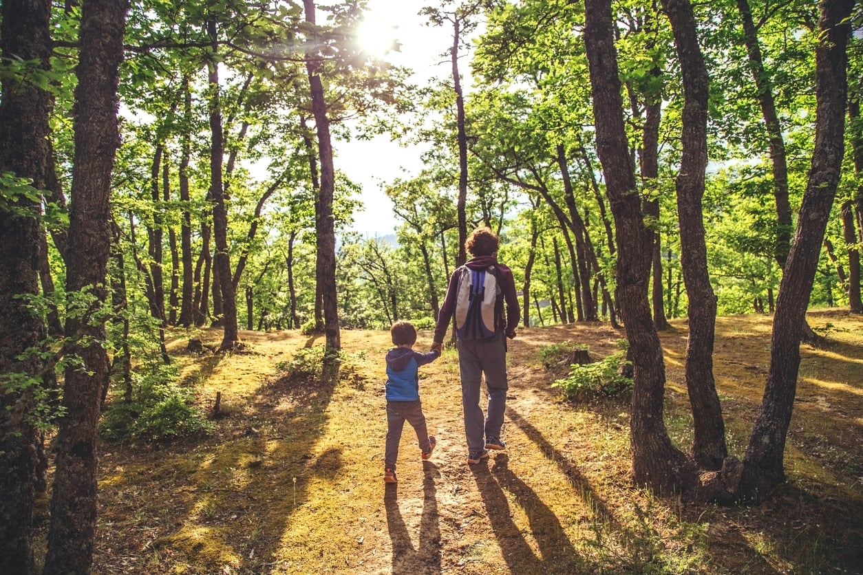 An adult and a child holding hands walk through a sunlit forest with tall trees, casting long shadows on the ground. The peaceful moment highlights nature’s role in supporting mental health as sunlight filters through the green leaves.