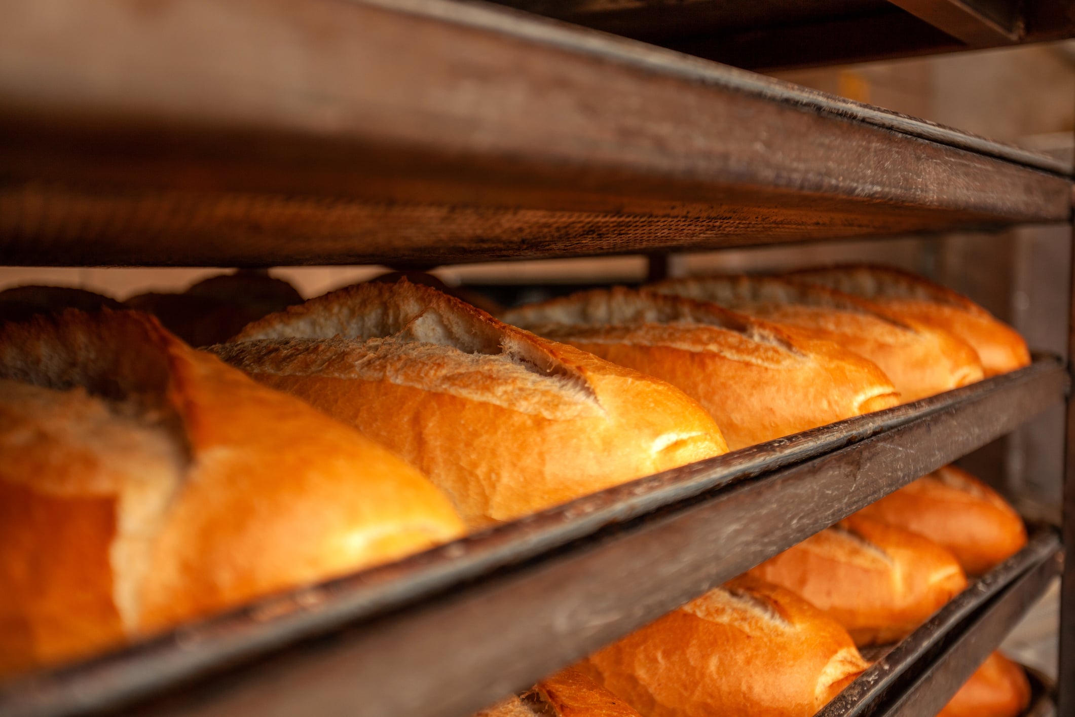 Rows of freshly baked loaves of bread cool on metal racks in a bakery, with golden crusts and a warm, inviting appearance.