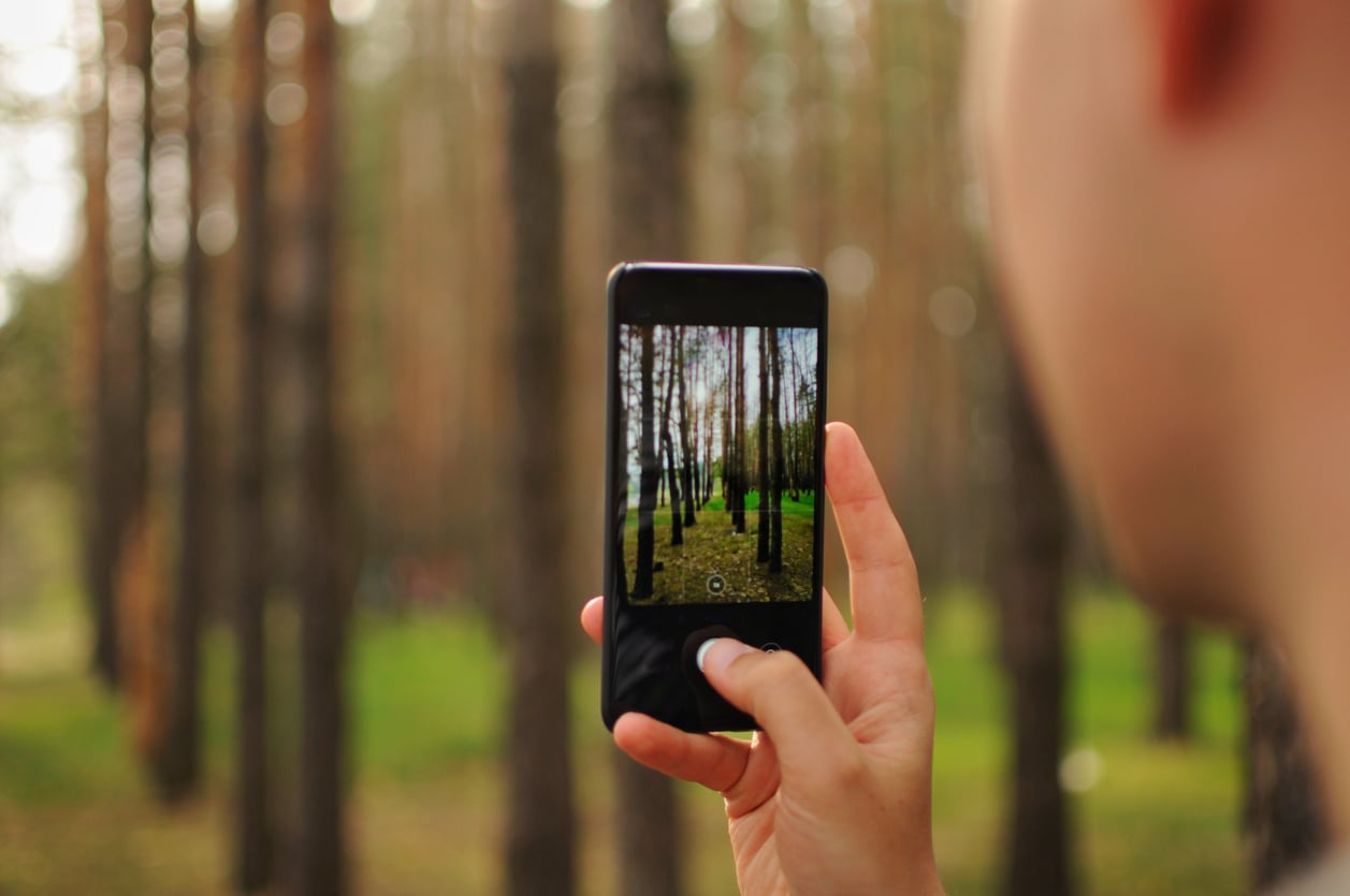 A person enjoys one of many budget-friendly hobbies by holding a smartphone and taking a photo of tall trees in a forest. The phone screen shows a clear image of the trees, while the background is blurred.