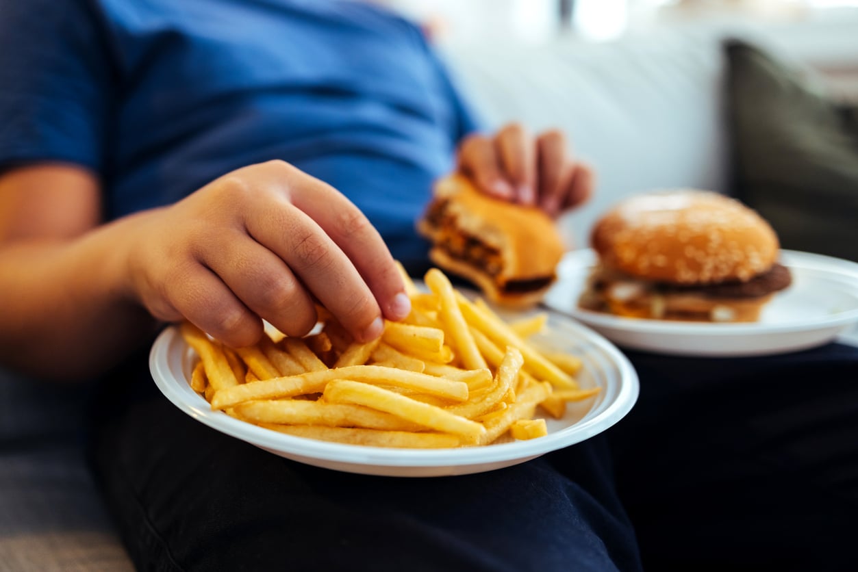 A person in a blue shirt sits on a couch, holding a plate of French fries in one hand and a hamburger—often seen as one of today's overpriced products—in the other, with another burger resting on a nearby plate.