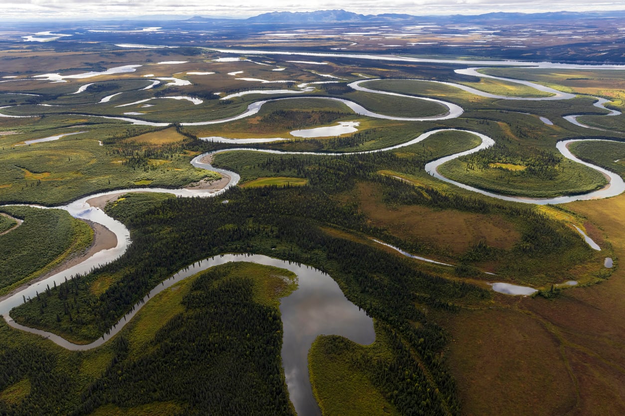 Aerial view of a winding river weaving through a vast green landscape with trees, grassy areas, and distant mountains under a cloudy sky.