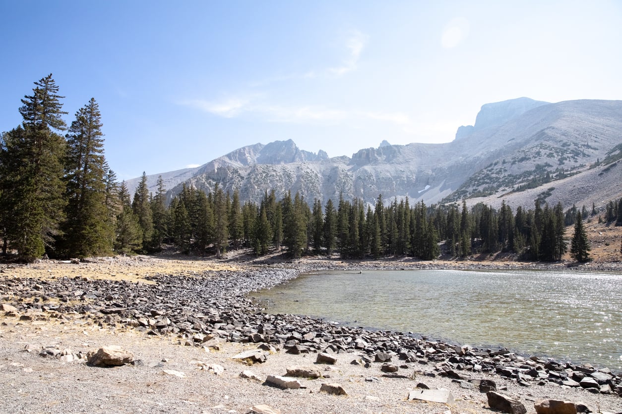 A clear mountain lake bordered by pine trees and rocky shore, with tall, rugged mountains rising in the background under a bright, blue sky.