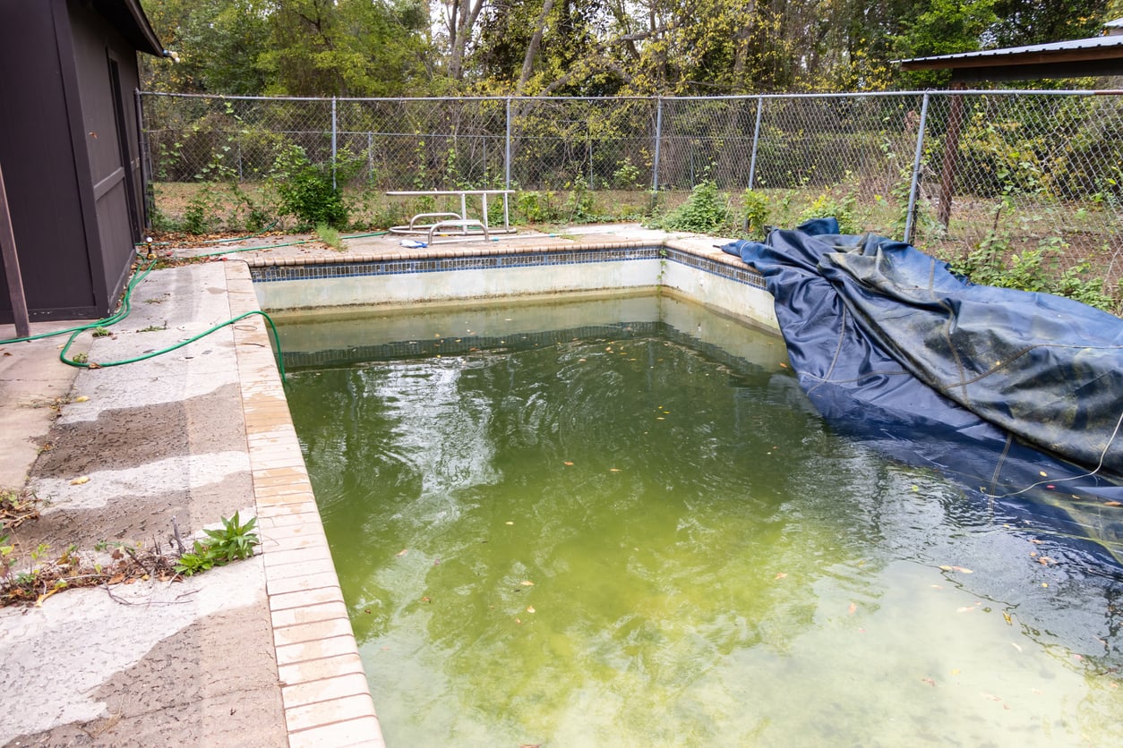 An outdoor swimming pool with murky green water, partially covered by a blue tarp. There are leaves and debris in the water, and the surrounding area has some overgrown grass and weeds. A chain-link fence encloses the yard.