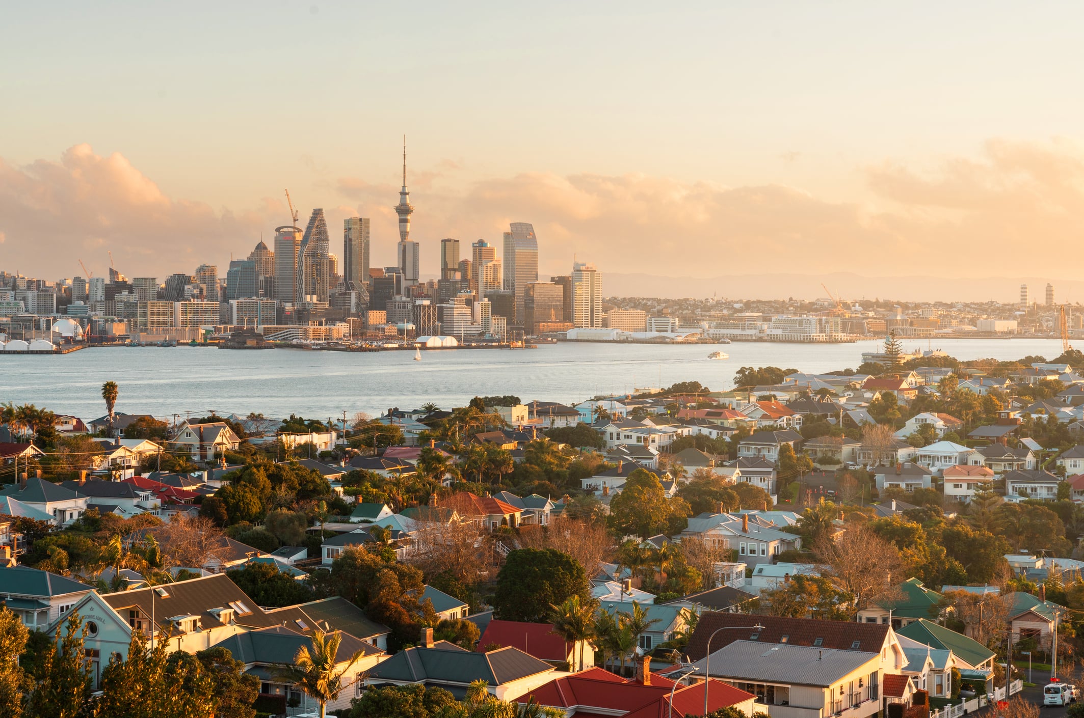 A panoramic view of Auckland, New Zealand at sunset, showing colorful houses in the foreground and the city skyline with the Sky Tower across the harbor, under a soft, golden sky.